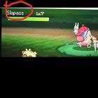 Lopunny Compilation .